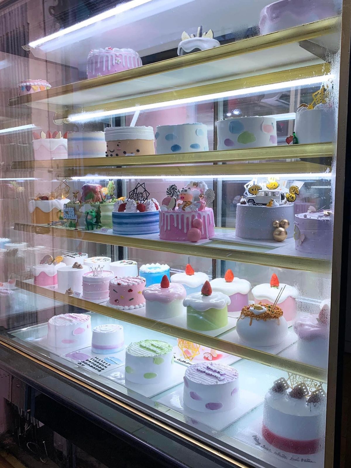 Широкий выбор дизайнов